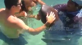 Shark Throws Up On Radio DJs Face!