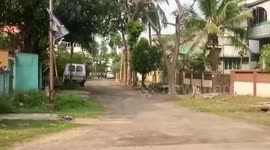 Two Wild Elephants went on a rampage in residential area,tranquilized and lifted by cranes