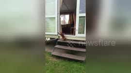 Newsflare Edit - Pepper Falling Down Stairs