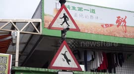 The Cat Village in Taiwan without English subtitle