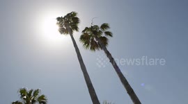 The Gulf Stream is slowing down leading Scientists to contemplate a possible ice age coming