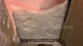 Apr 9, 2018 | Western Newfoundland Blizzard [part 1]