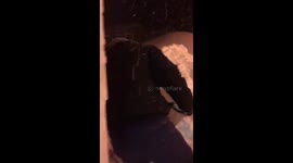 Apr 9, 2018 | Western Newfoundland Blizzard [part 2]