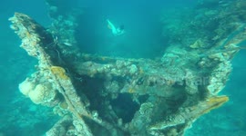 Swimming Through An Underwater Shipwreck In Coron