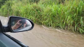 Kauai flash flood.