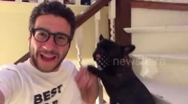 YouTuber Parodies patreon CEO’s video message to Casey Neistat