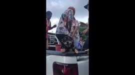 Adorable pet dog in truck during Thai new year