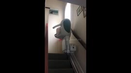 Lazy #mainecoon Bentley https://t.co/uCDB7ZLwNg