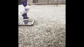 Here we go again with the snow!