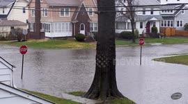 Making lemonade in the rain