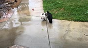 temp