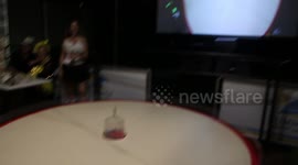 In remote Australia they race crabs at the bar for entertainment!