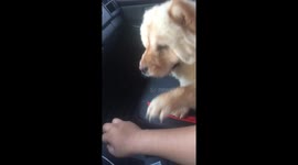 Don’t drive, just cuddle me 