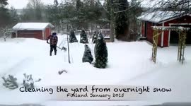 Flight of the bumble bee