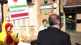 Role reversal: chickens chase (Liam) Fox