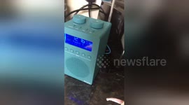 Newsflare Edit - This actually just happened. Fml I just bought that pan. https://t.co/3m2CEsCnow