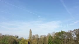 Saker Falcon takes out Drone!