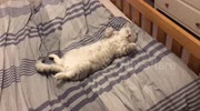 temp