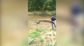 广西平南  鱼塘现神秘大坑 30分钟“生吞”2万斤活鱼