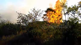 Savannah burning in Belize