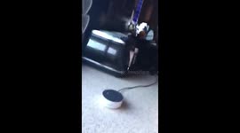 Alexa doesnt know where Derry is?