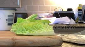 The Anatomy of the Perfect Bagel, Sturgeon & Cream Cheese