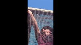 Removing a baby Southern African Python from an aviary