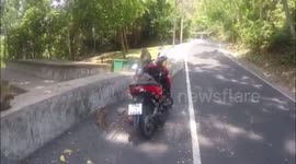 Thailand monkey wants my bike
