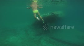 Diving around shipwreck