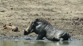 When you think no-ones watching and you have an itchy bum