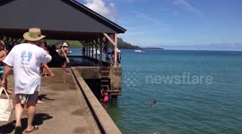 Jumping Off the Hanalei Pier - Hanalei Bay Kauai