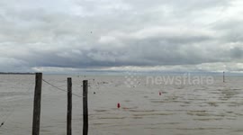 Gentle sea waves from ashore