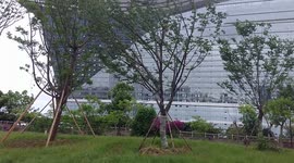 China, Chengdu, Wait For It