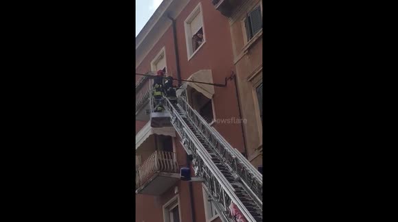Firefighters save kitten from window awning on 6-story building
