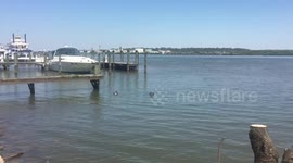 High temperatures reached the East Coast