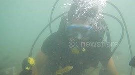 Scuba Diving at Malvan