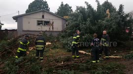 Disruptive weather lighting strike in a tree that fell into a house