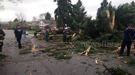 Disruptive weather lighting strike in a tree that fell into a house south of Denver