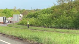 Man walks dog on side of A120 during crash delay