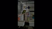 temp
