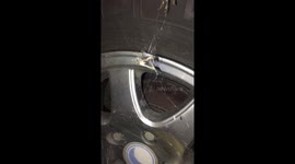 Spider devours cranefly