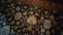 Jackson playing around