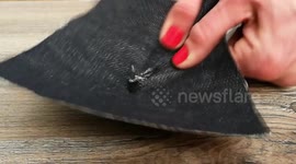 FIXRIP - repair your favourite clothes at home