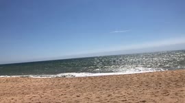 Summer on golden beach