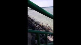 Desert Rose Resort, Hurghada