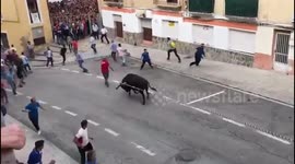 Toro Cogida Impactante | Toros Ontinyent 2018 |
