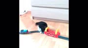 temp