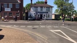 Newly hatched ducklings crossing road
