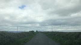Ireland driving a car