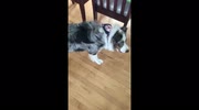 temp